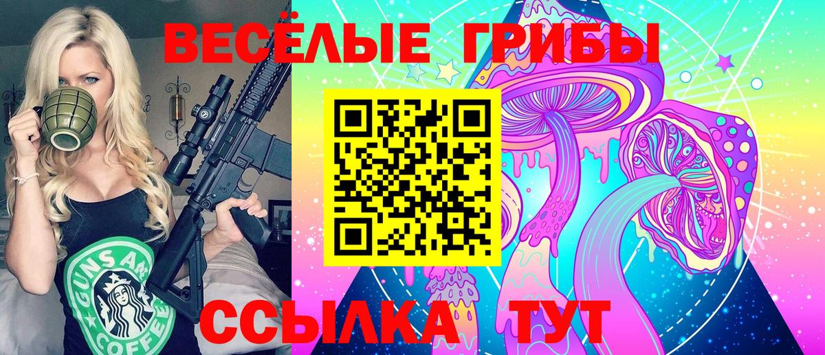Псилоцибиновые грибы прущие грибы Балтийск